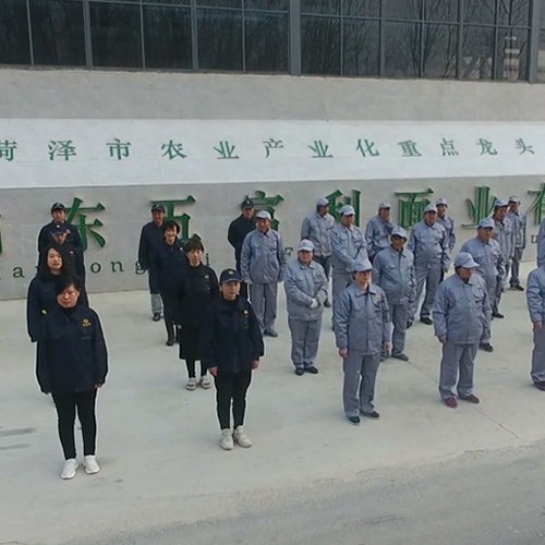 員工合影